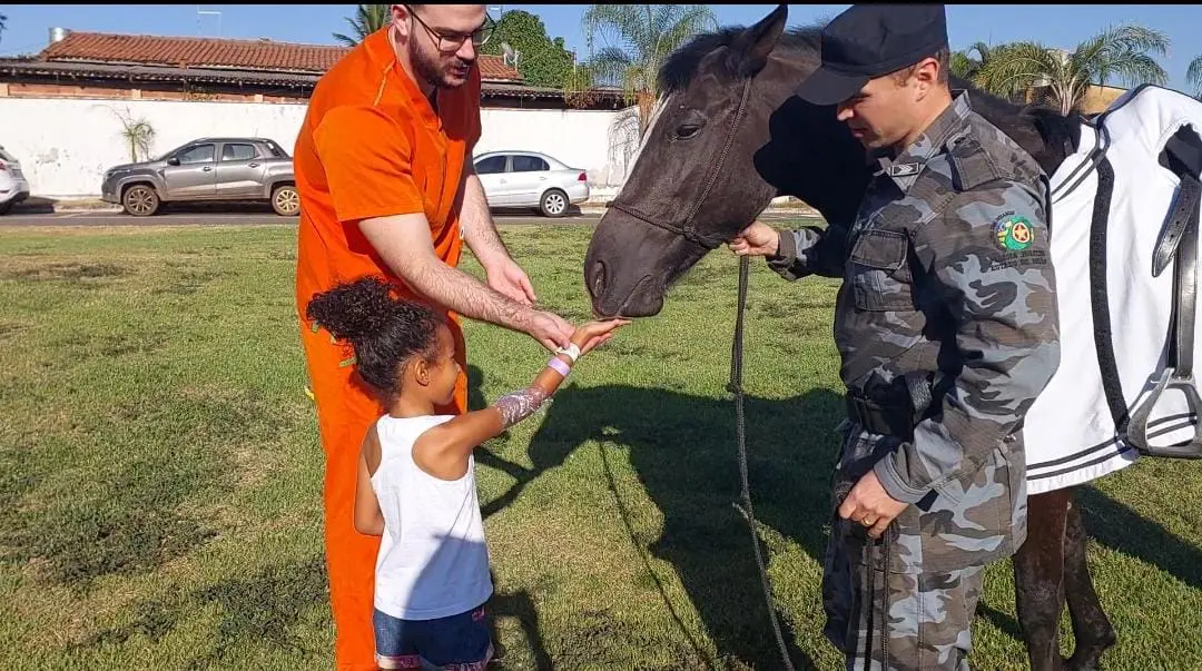 Foto mostra cavalos e pacientes