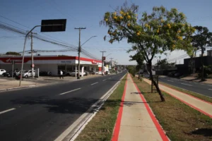 Foto da Avenida Rio verde