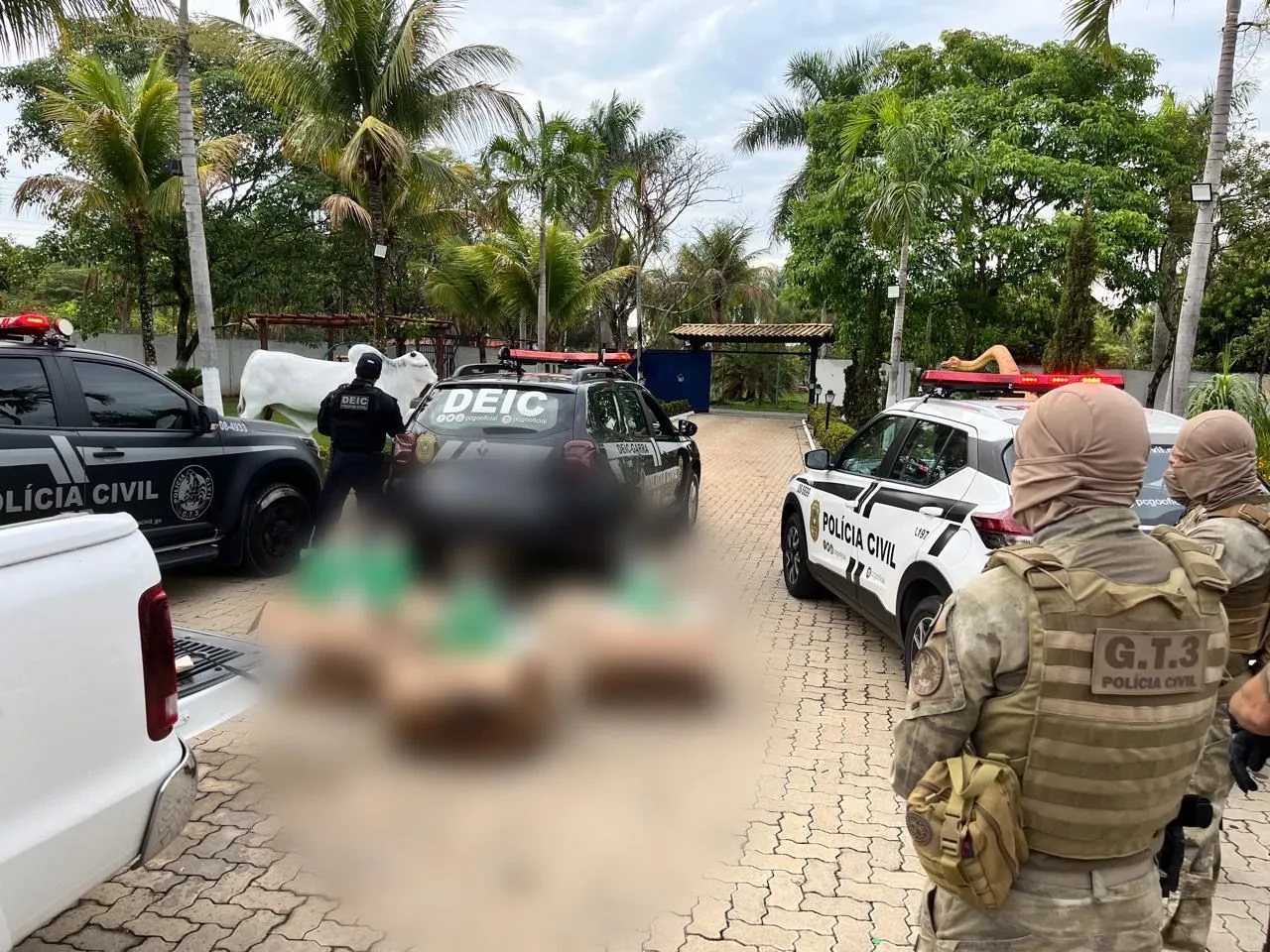 Foto de agentes e os veiculos usados durante operação.